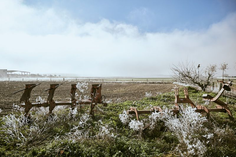 Mañanas para el abrigo 