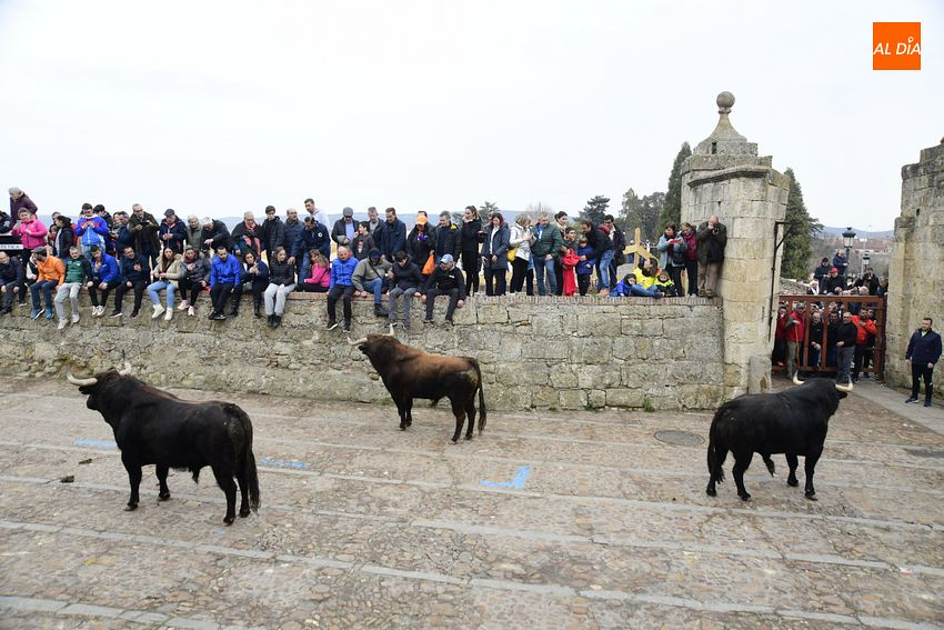 El Ayuntamiento exigirá el pago por adelantado de la carne de las reses del Carnaval