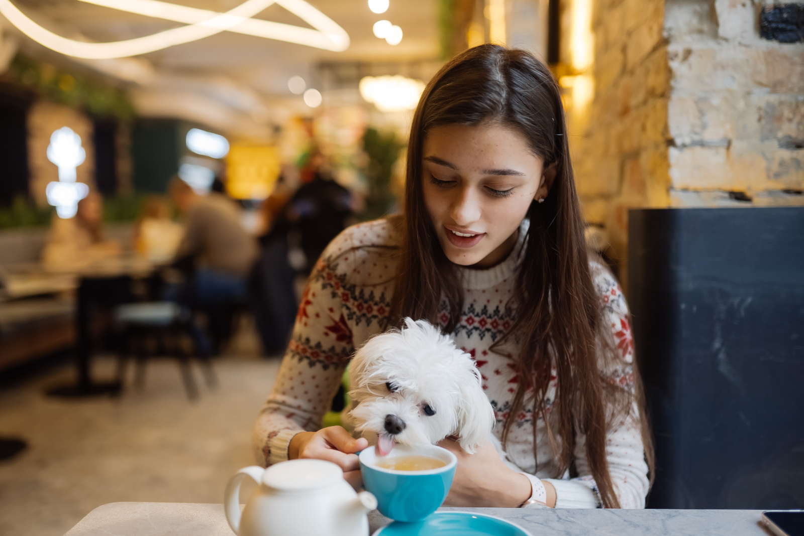 Establecimientos ‘pet friendly’ en Salamanca