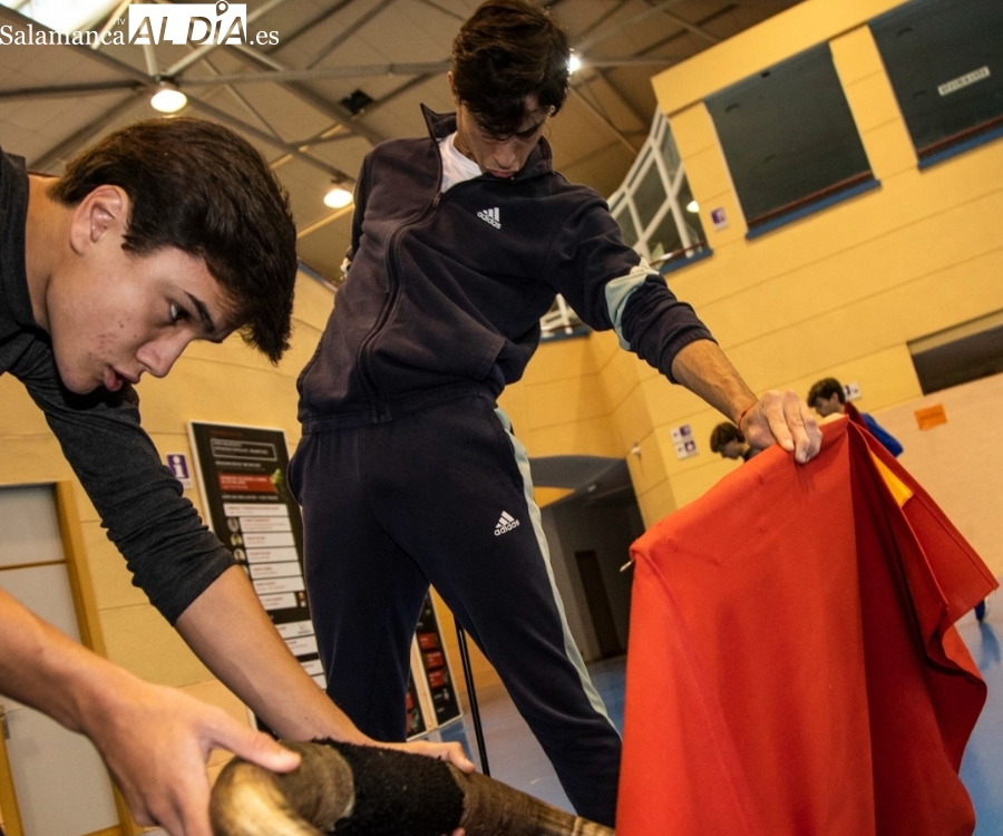 Ciudad Rodrigo, escenario para el debut con picadores de El Mene