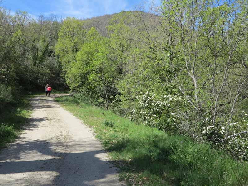 Descubre esta ruta por los miradores de las Sierras