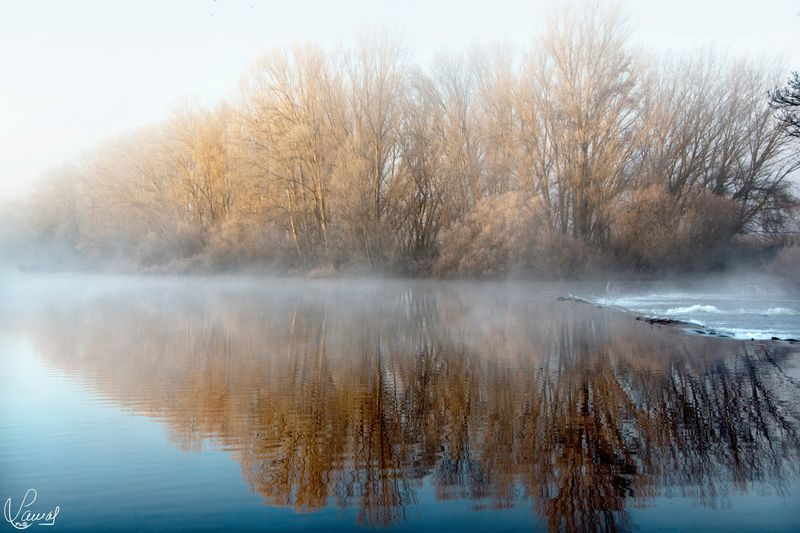 Como si fuera un sueño 