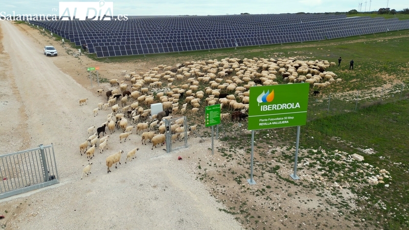Iberdrola recibe un Sello de Excelencia en Sostenibilidad UNEF por su primer proyecto fotovoltaico de Castilla y León 