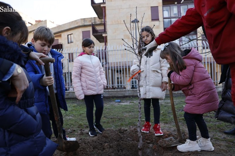 Más de 50 centros educativos de Salamanca se renaturalizarán plantando más de 900 árboles y arbustos 