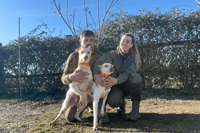 Hicimos mil llamadas y nadie nos ayudaba, no sabíamos si nuestros 40 perros estaban vivos o muertos