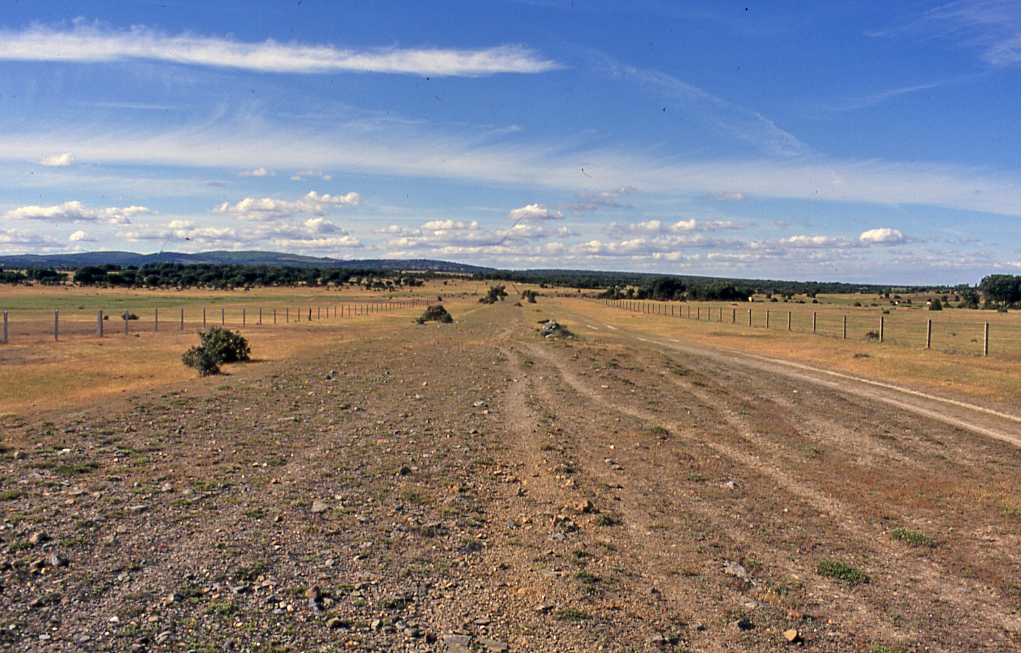 Papel de las vías pecuarias en la conservación de la naturaleza - 1 