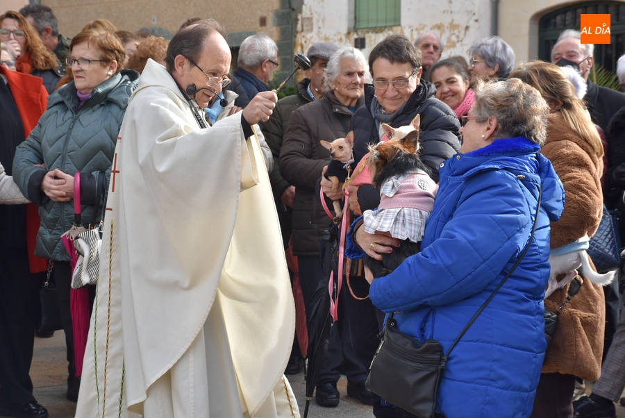 Seis perros son bendecidos por San Antón en una festiva mañana que esquivó la lluvia