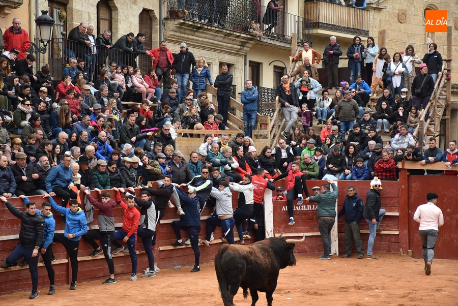 Quedan vacantes un tablao y una puerta del coso taurino mirobrigense