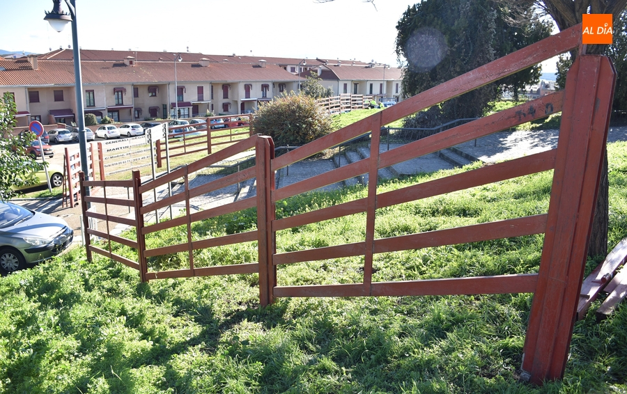 Las agujas ya asoman por los Pinos