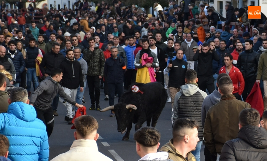 El Ayuntamiento contribuye con 3.700€ al Toro de San Sebastián de este sábado