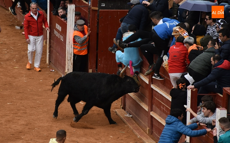El Carnaval será asegurado por Multicía con una rebaja de 891€ en el precio de salida
