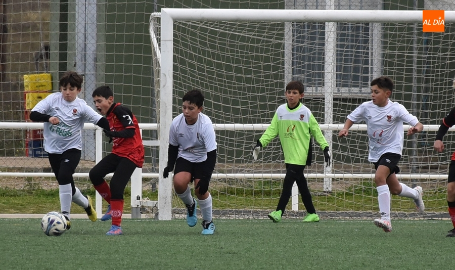 Dos equipos alevines del Ciudad Rodrigo participarán este miércoles en un Torneo en Valladolid