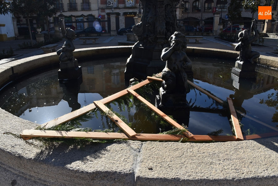 1Foto: Si a alguien le falta un árbol y una cabeza...