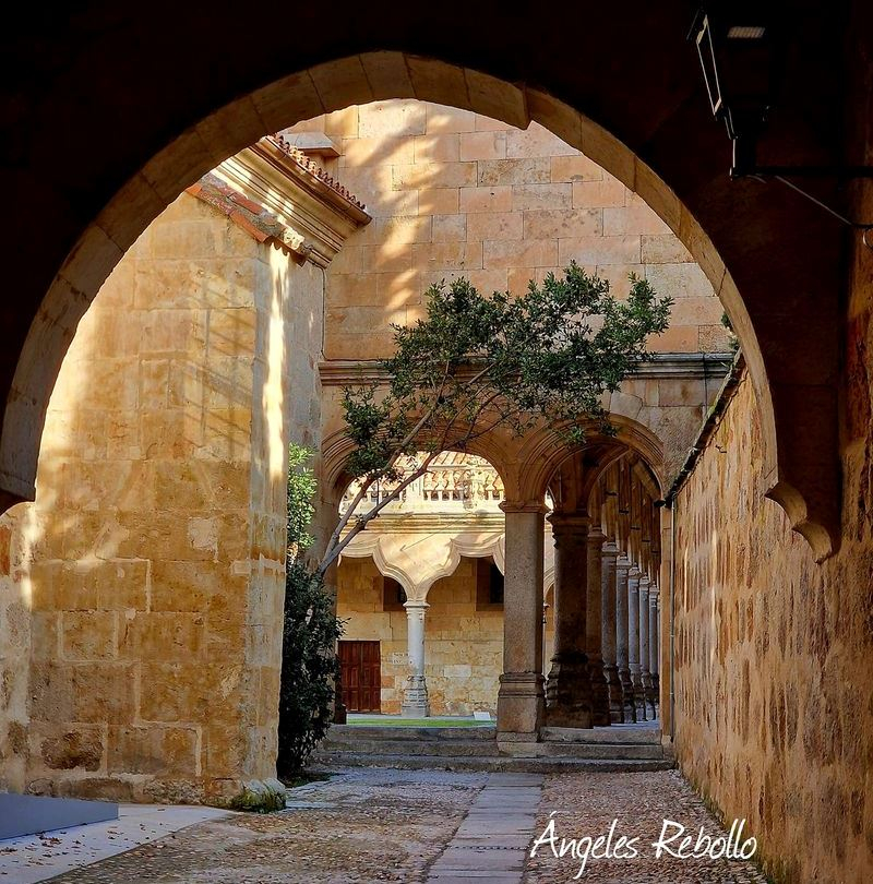 La timidez del tesoro 