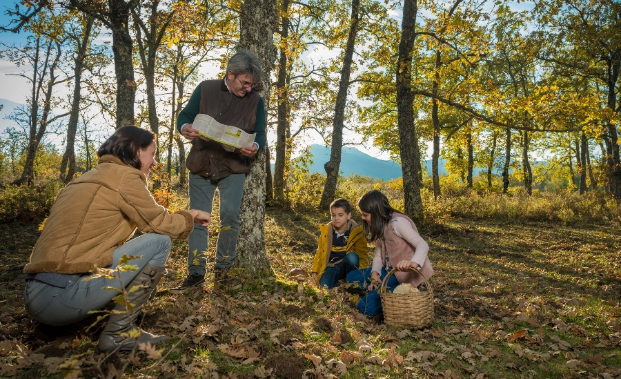 En 2023 se expidieron 2.320 permisos de recolección en el Parque del que forma parte El Rebollar