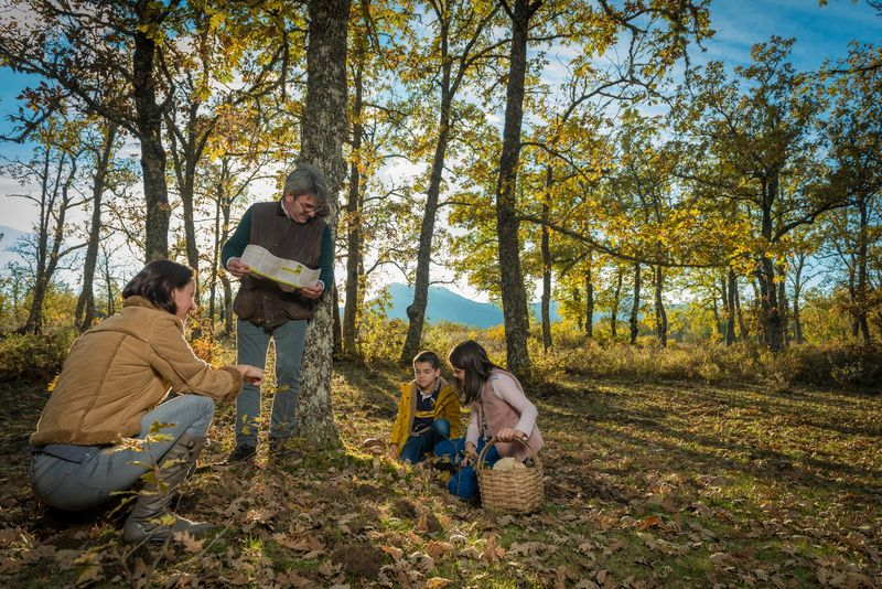 El Parque Micológico de Salamanca se consolida: más 2.900 permisos concedidos en 2023