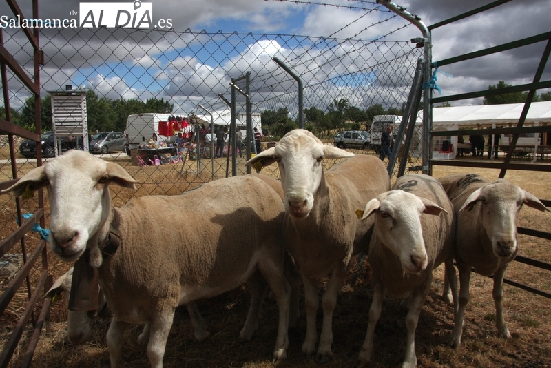 Un millón de euros para la formación de profesionales del campo y del sector agroalimentario en CyL