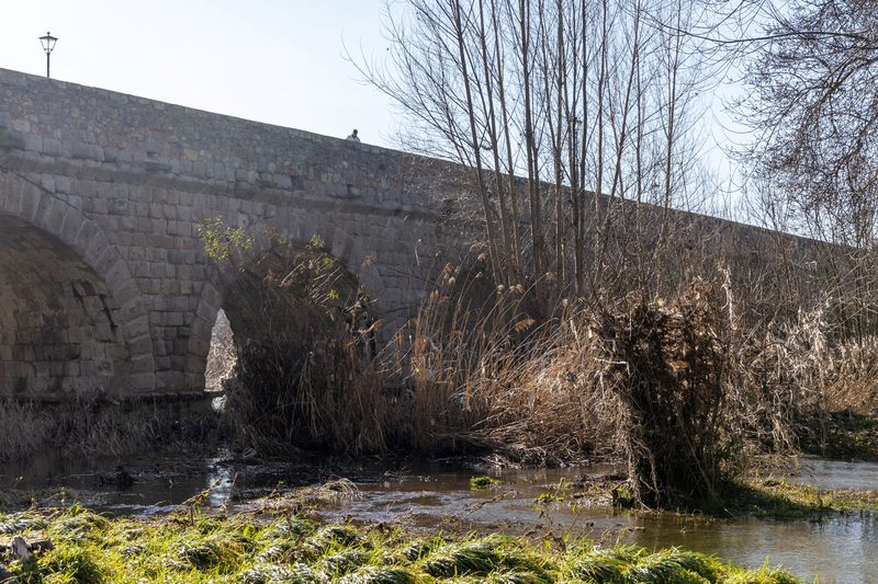 El PSOE denuncia la imagen de dejadez y abandono que presentan las riberas del río Tormes