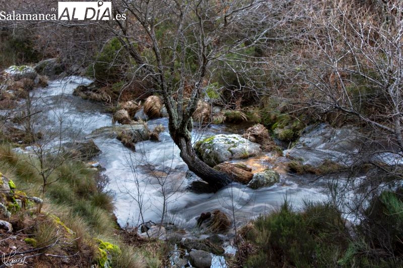 La Garganta del Oso, un paraíso a menos de una hora de Salamanca