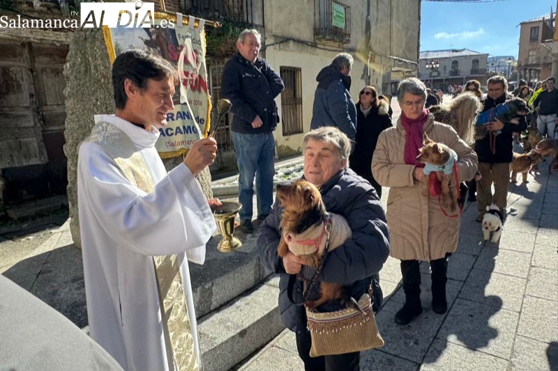 Las mascotas de Peñaranda reciben su bendición por San Antón en un animado acto