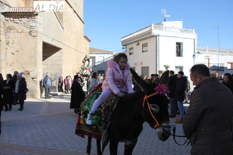 Saucelle se rinde a San Antón de la mano de la Asociación de Cazadores Los Sauces 