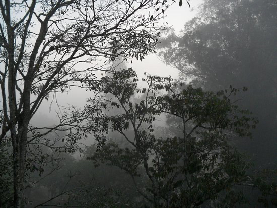 É a incerteza que nos fascina 