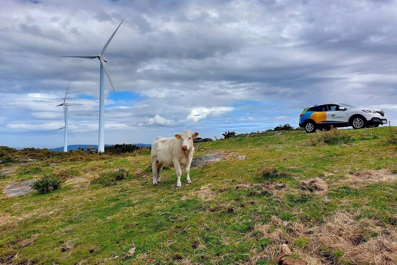 Calculadora gratuita para que las empresas puedan ahorrar en la factura energética