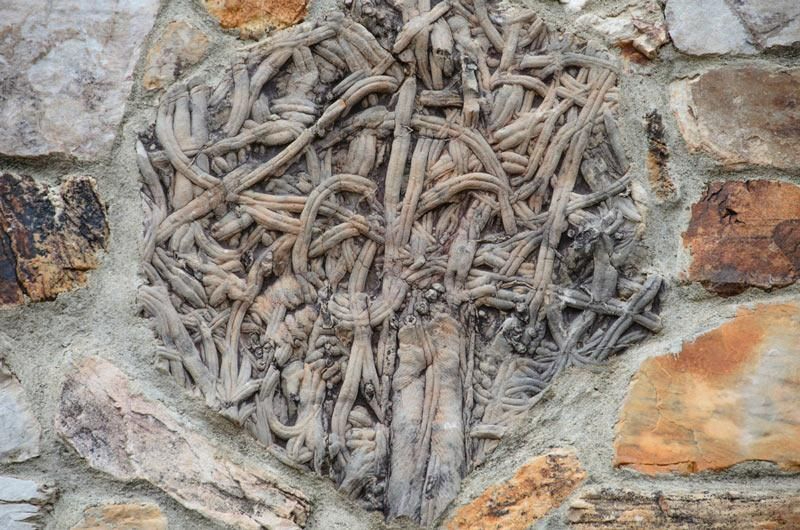 Un museo de fósiles al aire libre en la provincia de Salamanca