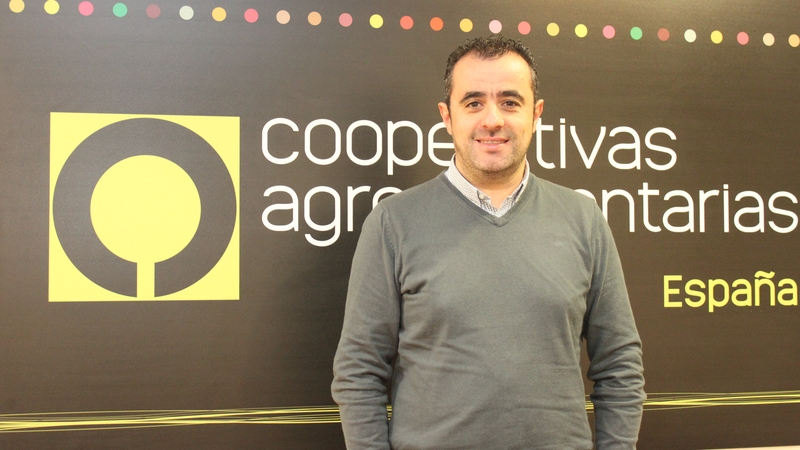 Octavio Gonzalo, reelegido presidente de vacuno de carne de Cooperativas Agro-alimentarias de España