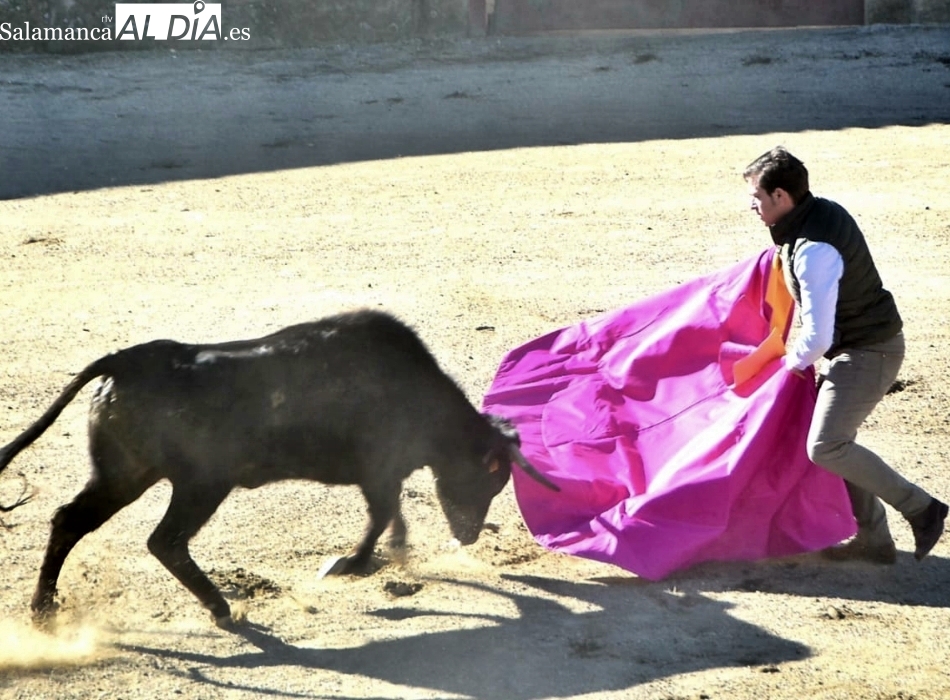 Ciudad Rodrigo, posible escenario para el debut como banderillero de Pedro Cabrero