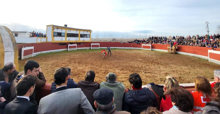 El Bolsín desvela sus 12 semifinalistas, entre los que hay 4 salmantinos