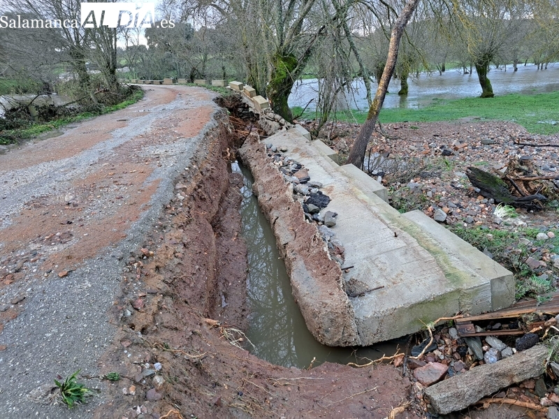 El agua se lo pone difícil a los ganaderos en Olmedo de Camaces