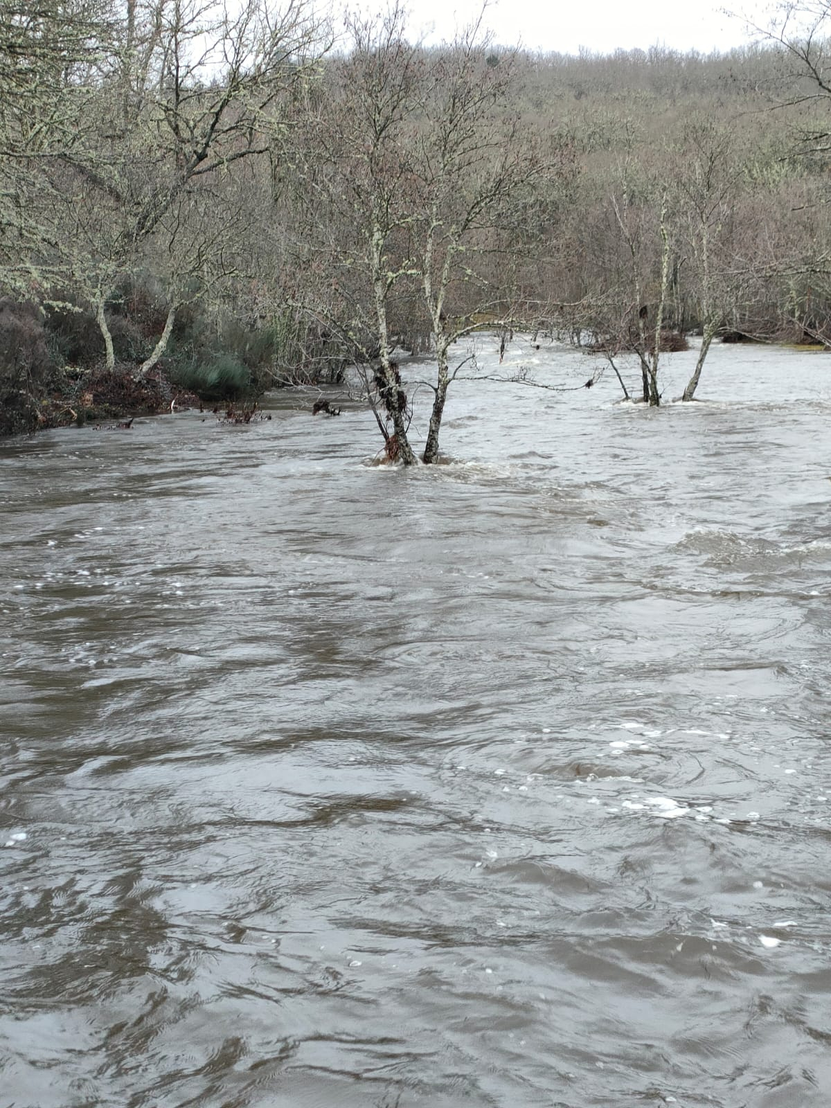 Notabilísima crecida del Águeda tras caer 53,2 litros por metro cuadrado en Navasfrías