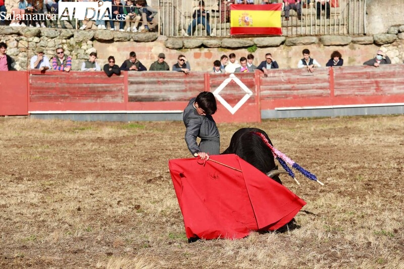 Premio de la Junta para un proyecto sobre la tauromaquia rural en Salamanca