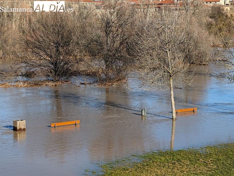 La crecida del Tormes a su paso por Salamanca anega las orillas