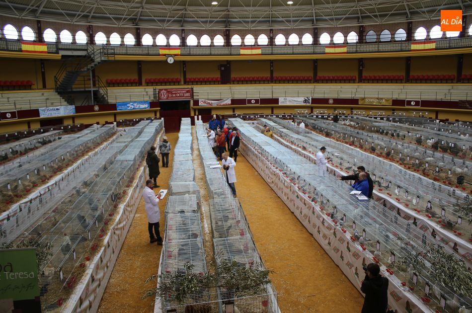 Alba de Tormes acoge la Feria de Avicultura del 26 al 28 de enero