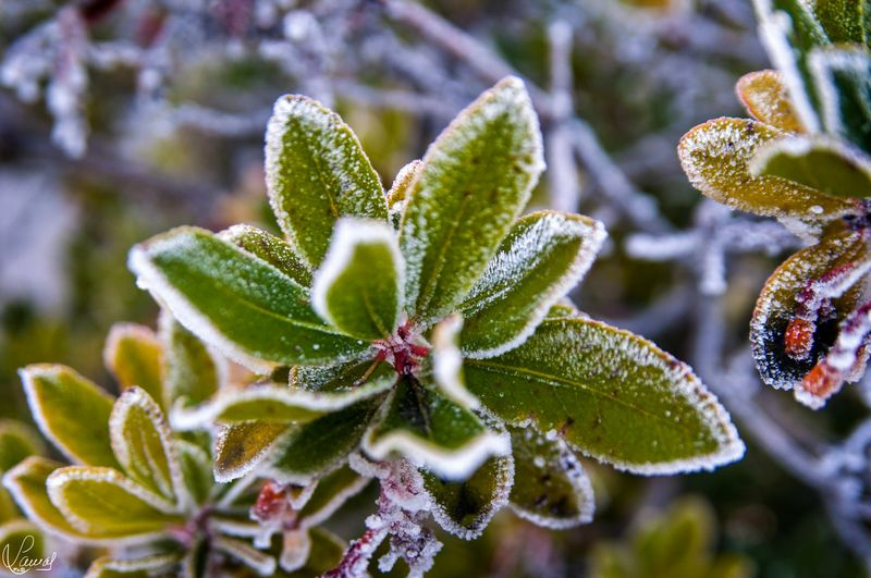 Una nueva DANA hará descender esta semana las mínimas en Salamanca