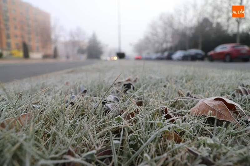Vuelve el frío: temperaturas bajo cero el fin de semana en Salamanca