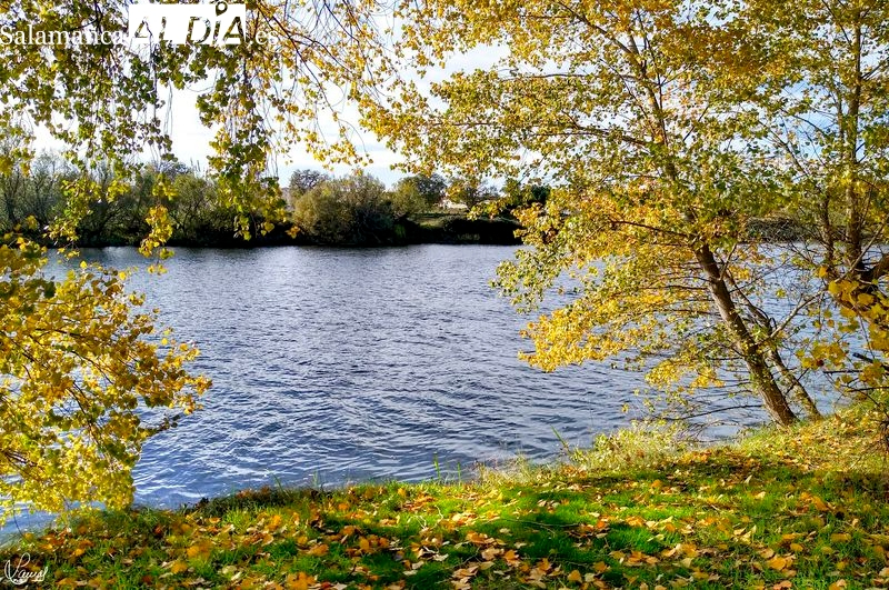 Cerrado al público el parque de Huerta Otea ante la crecida del caudal del Tormes