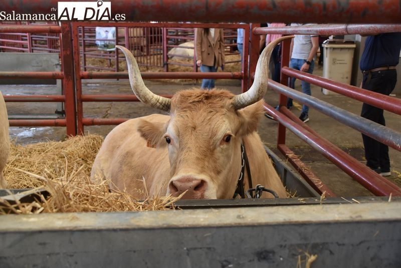 Convocadas las ayudas de formación en el sector agrario, forestal y agroalimentario