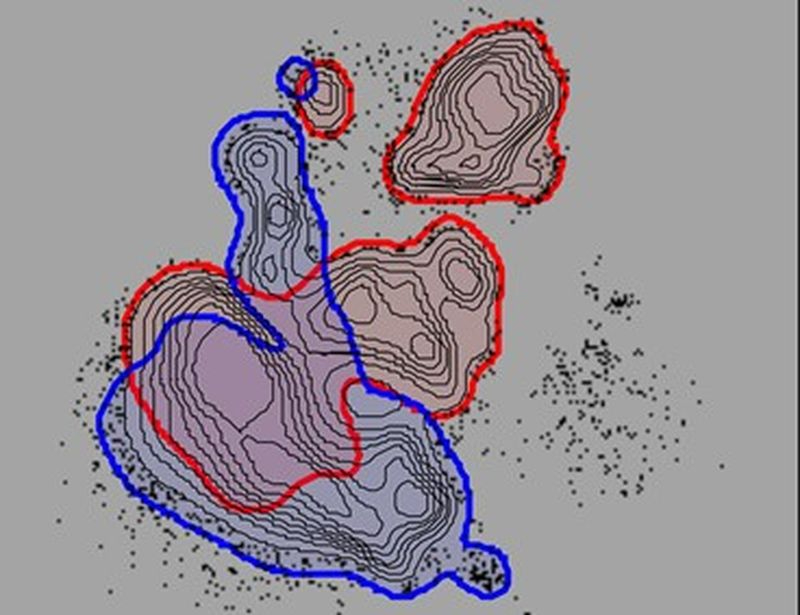 El CIC de Salamanca participa en una importante investigación sobre el síndrome linfoproliferativo autoinmune, una enfermedad rara