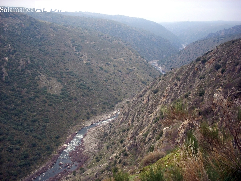 La VII Ruta de Senderismo de Sobradillo estrena recorrido en las arribes del Águeda