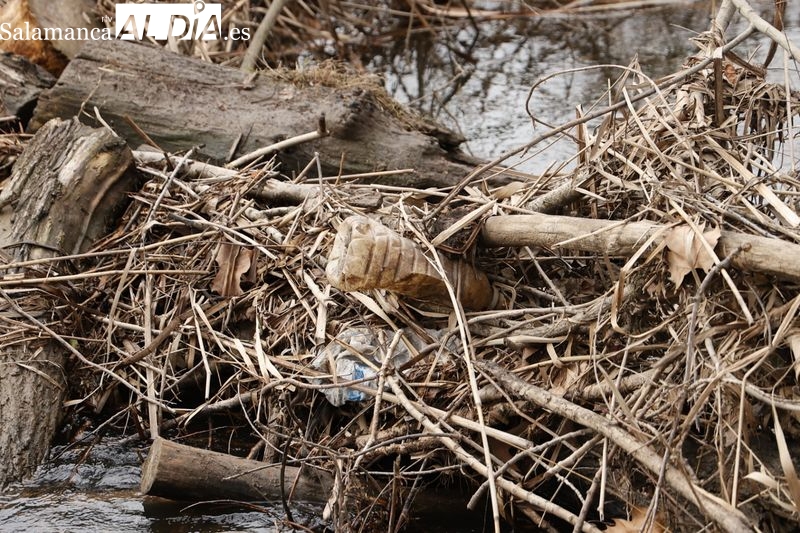 Los residuos se acumulan en las orillas del Tormes a su paso por Salamanca