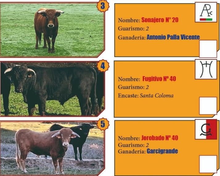 Cuatro salmantinos entre los 10 finalistas del Bolsín Taurino 2024