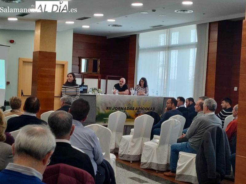 Los apicultores insisten en el control de productos que entran en Salamanca como miel y son otra cosa