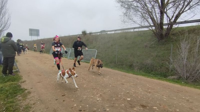 Éxito del Canicross de Santa Marta