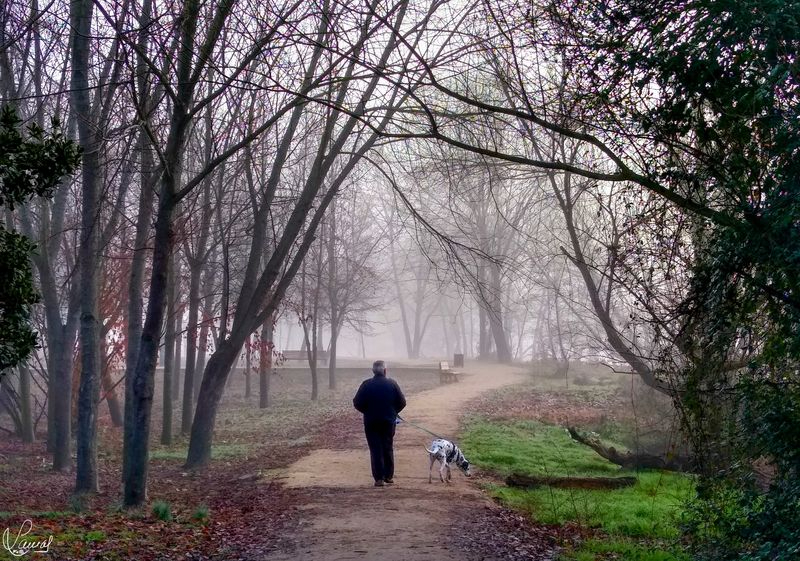 Instantes placenteros 