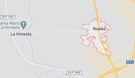 Prisión sin fianza para el dueño de los perros que mataron a una joven de Roales (Zamora)