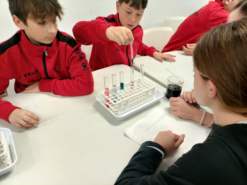 Los escolares de Carbajosa celebran el Día Internacional de la Mujer y la Niña en la Ciencia