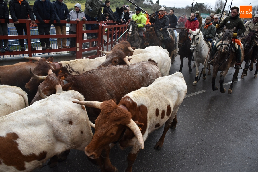 Breve apunte sobre un encierro de caballos